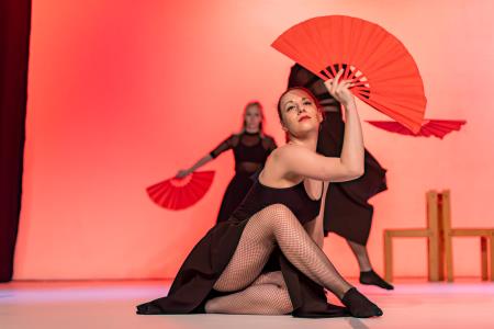 Območna revija plesnih skupin Finesa plesa 2024 (6)